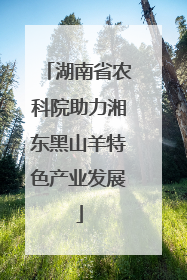 湖南省农科院助力湘东黑山羊特色产业发展