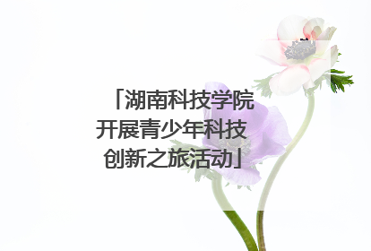 湖南科技学院开展青少年科技创新之旅活动