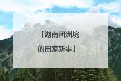 湖南团洲垸的田家新事