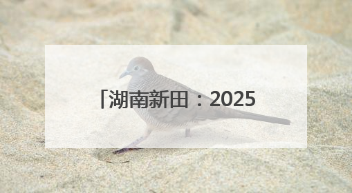 湖南新田：2025年高考首日 考生自信步入考场（组图）