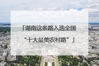 湖南这条路入选全国“十大最美农村路”