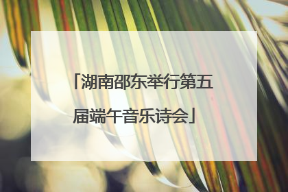 湖南邵东举行第五届端午音乐诗会