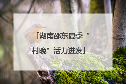 湖南邵东夏季“村晚”活力迸发