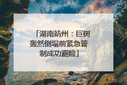 湖南靖州：巨树轰然倒塌前紧急管制成功避险