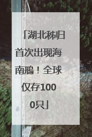湖北秭归首次出现海南鳽！全球仅存1000只