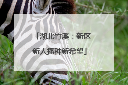 湖北竹溪：新区新人播种新希望