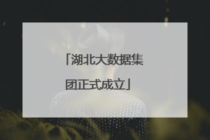 湖北大数据集团正式成立