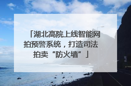 湖北高院上线智能网拍预警系统，打造司法拍卖“防火墙”