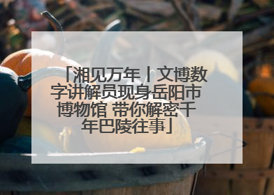 湘见万年丨文博数字讲解员现身岳阳市博物馆 带你解密千年巴陵往事