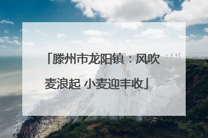 滕州市龙阳镇：风吹麦浪起 小麦迎丰收