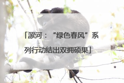漯河：“绿色春风”系列行动结出双拥硕果