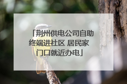 荆州供电公司自助终端进社区 居民家门口就近办电