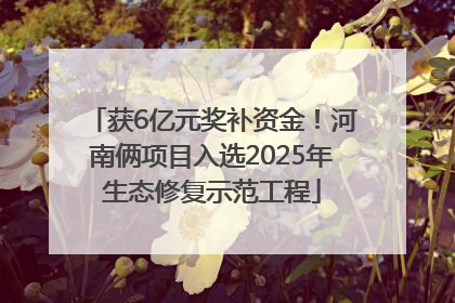 获6亿元奖补资金！河南俩项目入选2025年生态修复示范工程