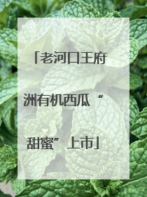 老河口王府洲有机西瓜“甜蜜”上市