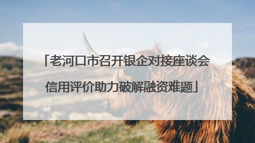 老河口市召开银企对接座谈会 信用评价助力破解融资难题