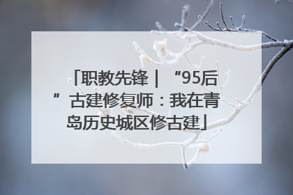 职教先锋｜“95后”古建修复师：我在青岛历史城区修古建
