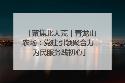 聚焦北大荒｜青龙山农场：党建引领聚合力 为民服务践初心