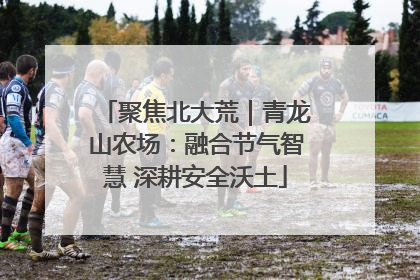 聚焦北大荒｜青龙山农场：融合节气智慧 深耕安全沃土
