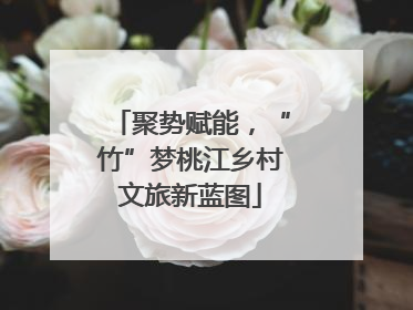 聚势赋能，“竹”梦桃江乡村文旅新蓝图