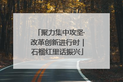 聚力集中攻坚·改革创新进行时｜石榴红里话振兴