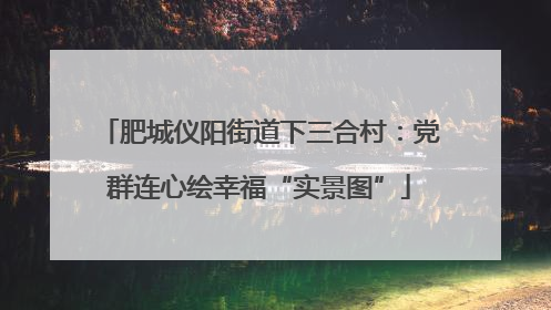肥城仪阳街道下三合村：党群连心绘幸福“实景图”