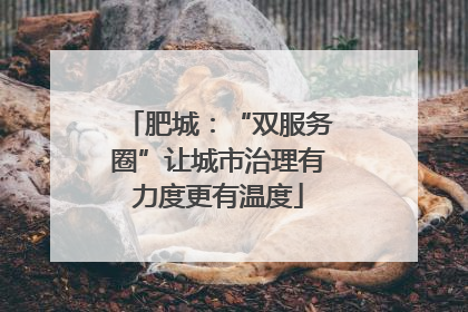 肥城：“双服务圈”让城市治理有力度更有温度