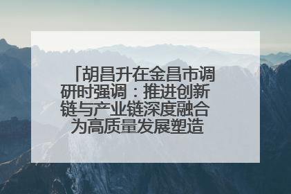 胡昌升在金昌市调研时强调：推进创新链与产业链深度融合 为高质量发展塑造新动能新优势