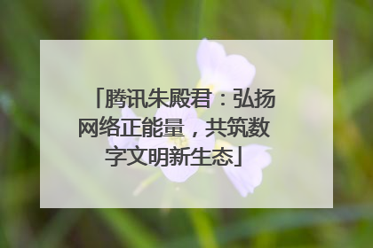 腾讯朱殿君：弘扬网络正能量，共筑数字文明新生态