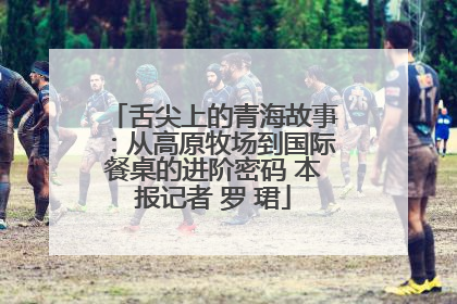 舌尖上的青海故事：从高原牧场到国际餐桌的进阶密码 本报记者 罗 珺