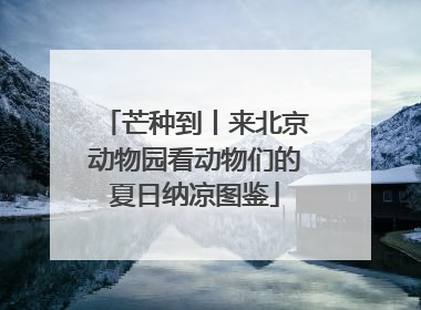芒种到丨来北京动物园看动物们的夏日纳凉图鉴