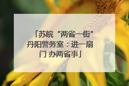 苏皖“两省一街”丹阳警务室：进一扇门 办两省事