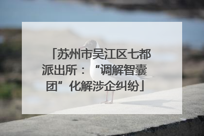 苏州市吴江区七都派出所：“调解智囊团”化解涉企纠纷