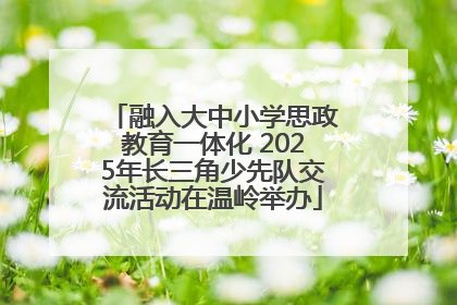 融入大中小学思政教育一体化 2025年长三角少先队交流活动在温岭举办