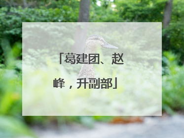 葛建团、赵峰，升副部