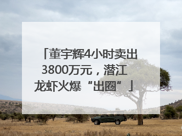 董宇辉4小时卖出3800万元，潜江龙虾火爆“出圈”