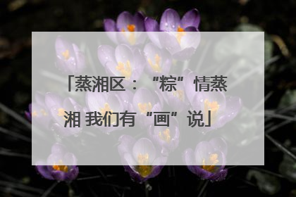 蒸湘区：“粽”情蒸湘 我们有“画”说