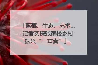 蓝莓、生态、艺术……记者实探张家楼乡村振兴“三重奏”