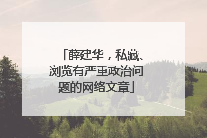 薛建华，私藏、浏览有严重政治问题的网络文章