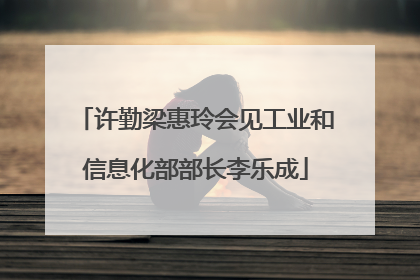 许勤梁惠玲会见工业和信息化部部长李乐成