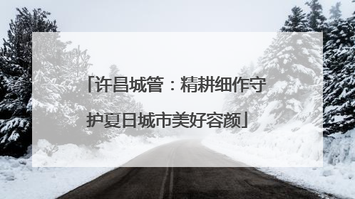 许昌城管：精耕细作守护夏日城市美好容颜