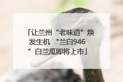 让兰州“老味道”焕发生机 “兰白946”白兰瓜即将上市