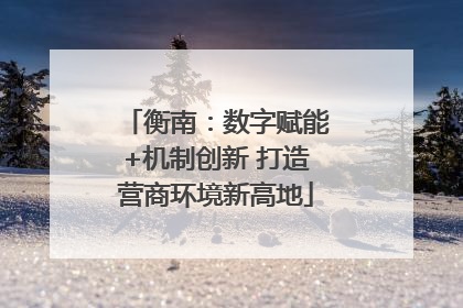 衡南：数字赋能+机制创新 打造营商环境新高地