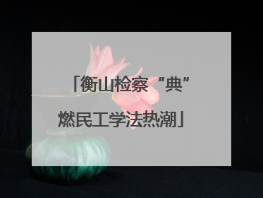 衡山检察“典”燃民工学法热潮