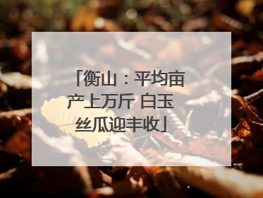 衡山：平均亩产上万斤 白玉丝瓜迎丰收