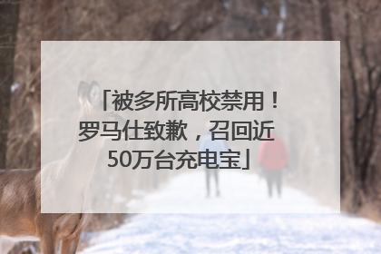 被多所高校禁用！罗马仕致歉，召回近50万台充电宝