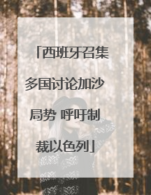 西班牙召集多国讨论加沙局势 呼吁制裁以色列