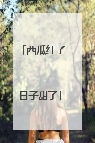 西瓜红了 日子甜了
