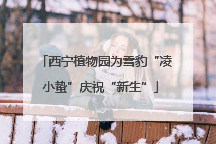 西宁植物园为雪豹“凌小蛰”庆祝“新生”