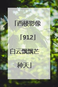 西楼影像「912」白云飘飘芒种天