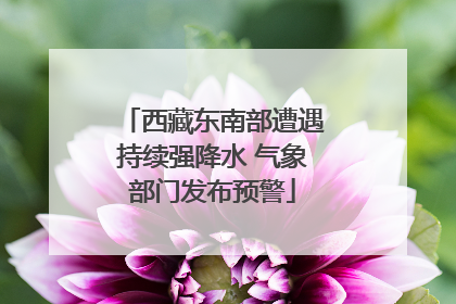 西藏东南部遭遇持续强降水 气象部门发布预警
